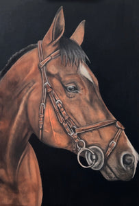 Equestrian by AMJ